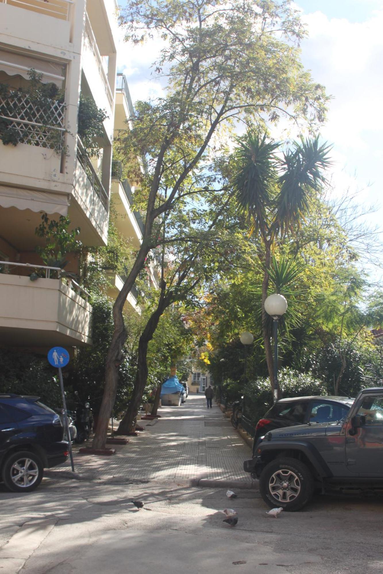 "Under The Olive Tree"- Beautiful Apartment In The Heart Of Atenas Exterior foto